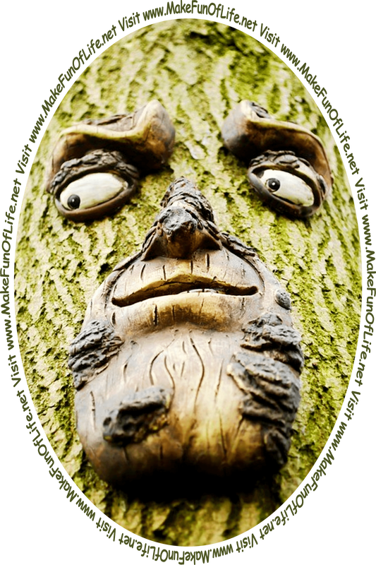 Picture of a tree trunk with a face on it looking at the words and pictures on the website, and the words, ‘Visit www.MakeFunOfLife.net.’