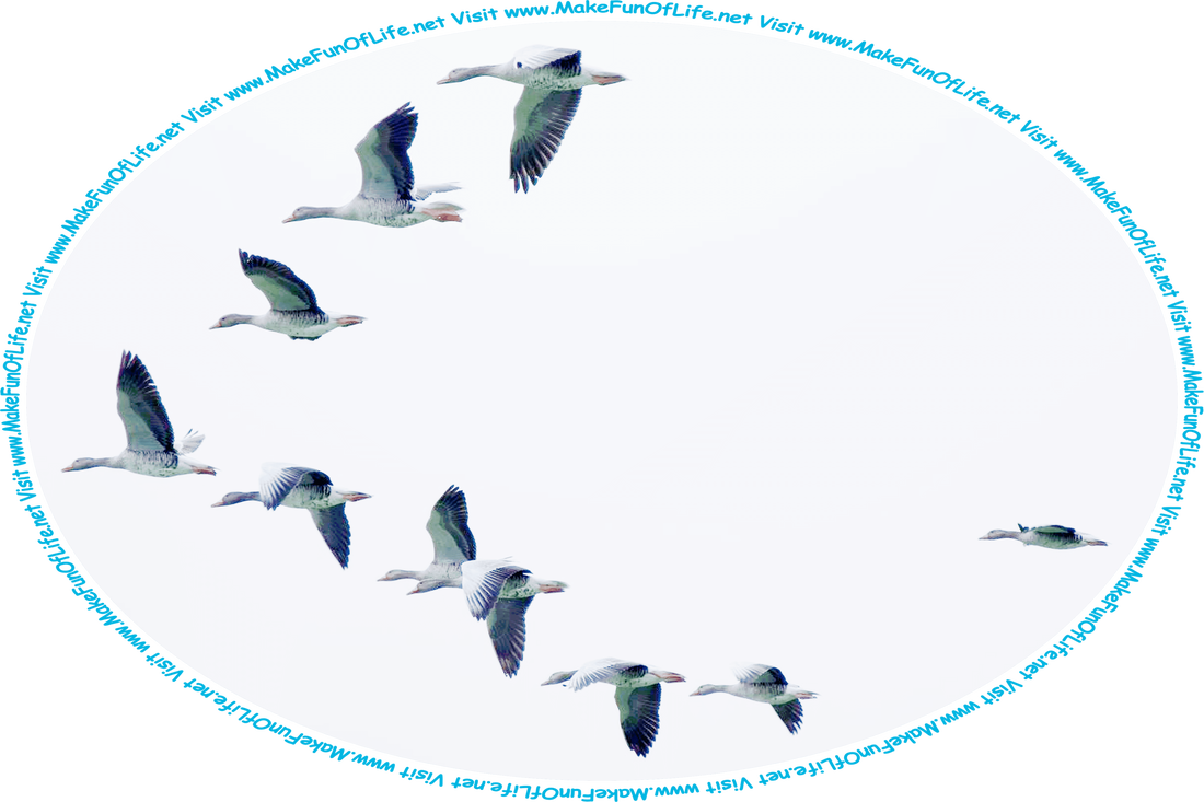 Picture of a flock of geese flying in a v-formation, and the words, ‘Visit www.MakeFunOfLife.net.’