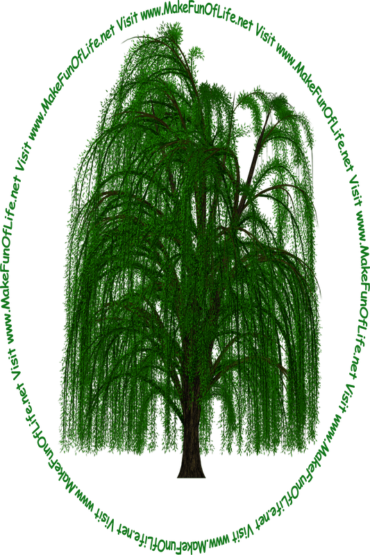Picture of a tall green leafy weeping willow tree and the words, ‘Visit www.MakeFunOfLife.net.’