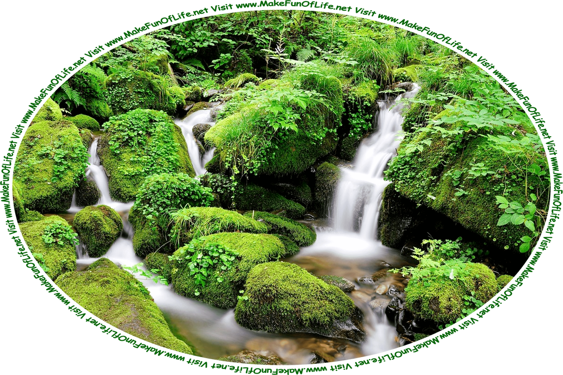 Picture of a stream flowing through rocks covered with green moss, green leafy ferns, various types of tiny green leafy plants, and the words, ‘Visit www.MakeFunOfLife.net.’