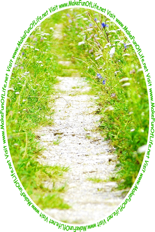 Picture of a footpath bordered on both sides by short leafy green flowering plants, and the words, ‘Visit www.MakeFunOfLife.net.’