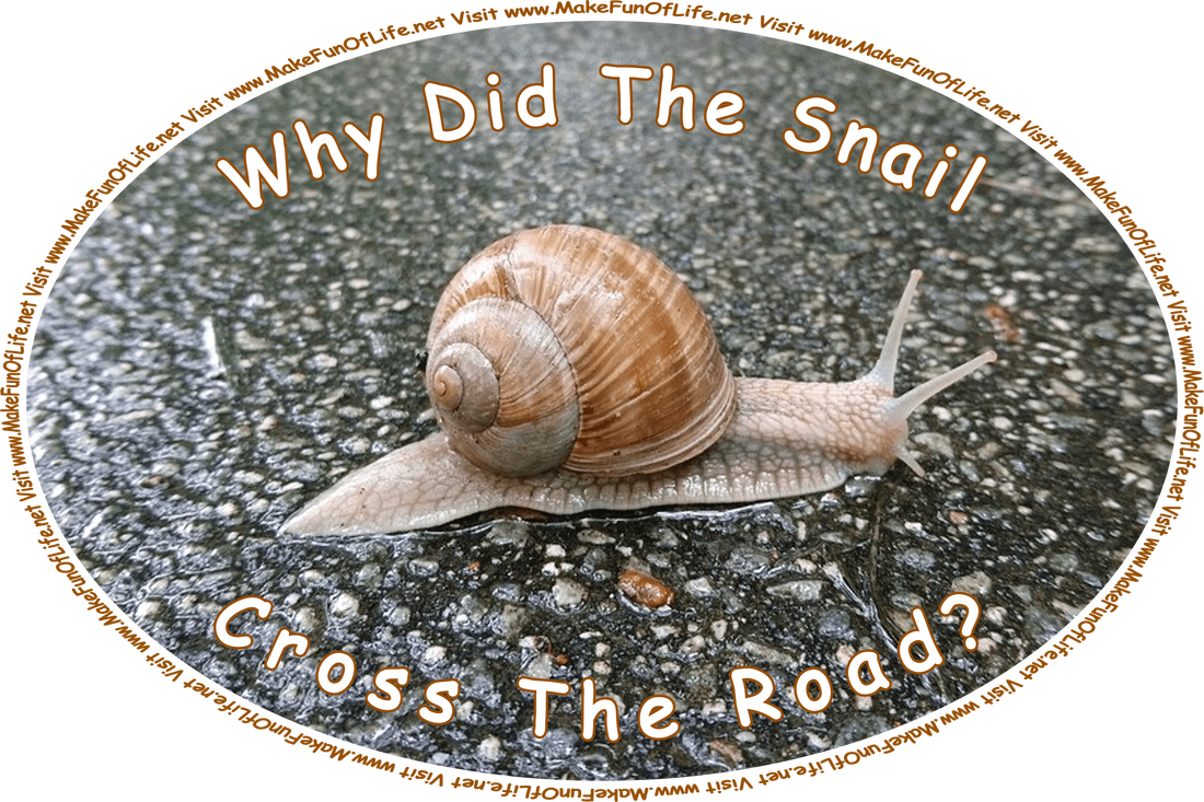 Picture of a snail crossing a wet asphalt road, and the words, ‘Why did the snail cross the road? Visit www.MakeFunOfLife.net.’