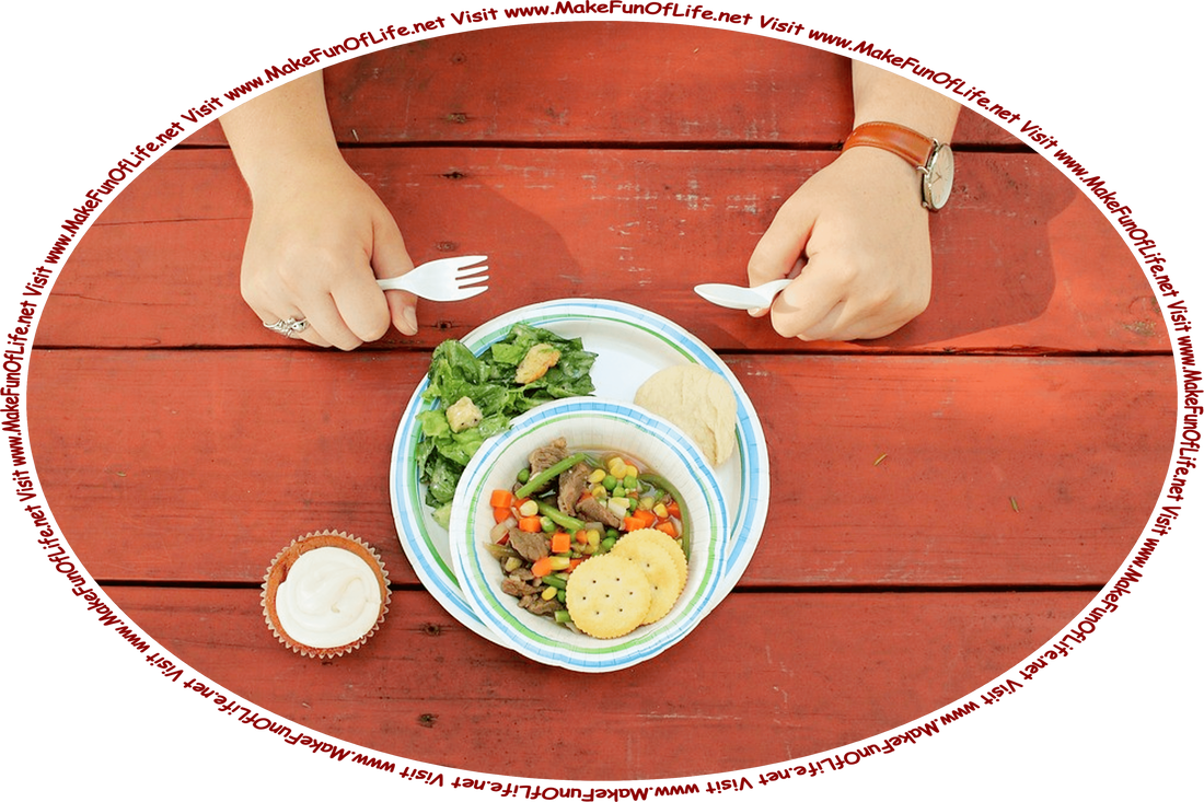 Picture of a person seated at a table with a plate of mixed vegetables and chunks of beef, a green leafy salad, round crackers, a cupcake with frosting, and the words, ‘Visit www.MakeFunOfLife.net.’