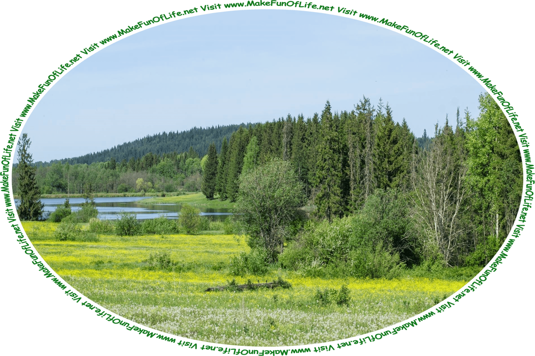 Picture of a wilderness area including a meadow filled with white and yellow flowering plants, evergreen trees, a calm blue lake, a clear blue sky, and the words, ‘Visit www.MakeFunOfLife.net.’