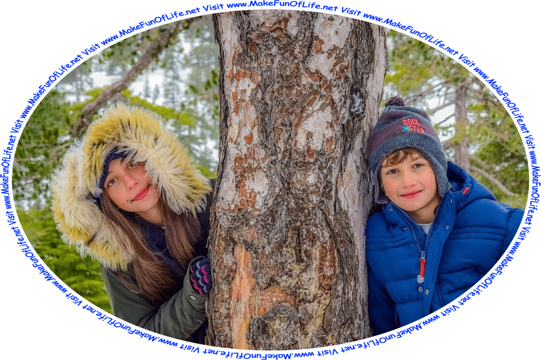 Picture of a happy smiling sister and brother dressed in warm coats and standing outside, on the opposite sides of a tree trunk, on a Winter day, with evergreen trees and fallen snow in the background, and the words, ‘Visit www.MakeFunOfLife.net.’