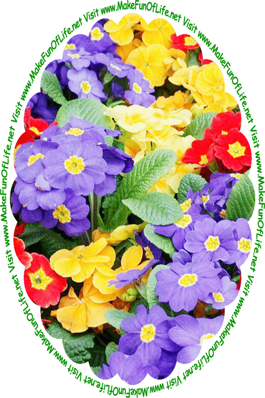 Picture of flowering plants with dark green leaves and deep red, dark yellow, and indigo blossoms, and the words, ‘Visit www.MakeFunOfLife.net.’