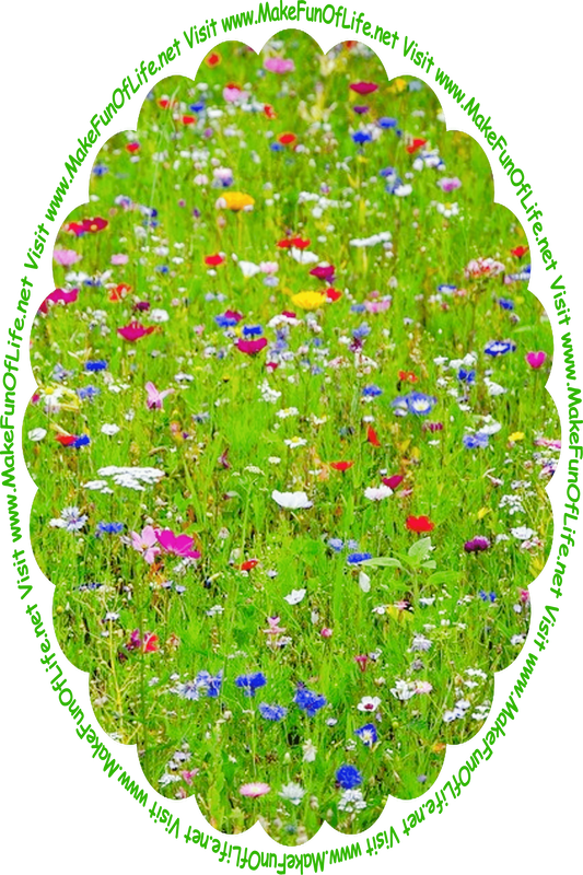Picture of a field of wildflowers, and the words, ‘Visit www.MakeFunOfLife.net.’