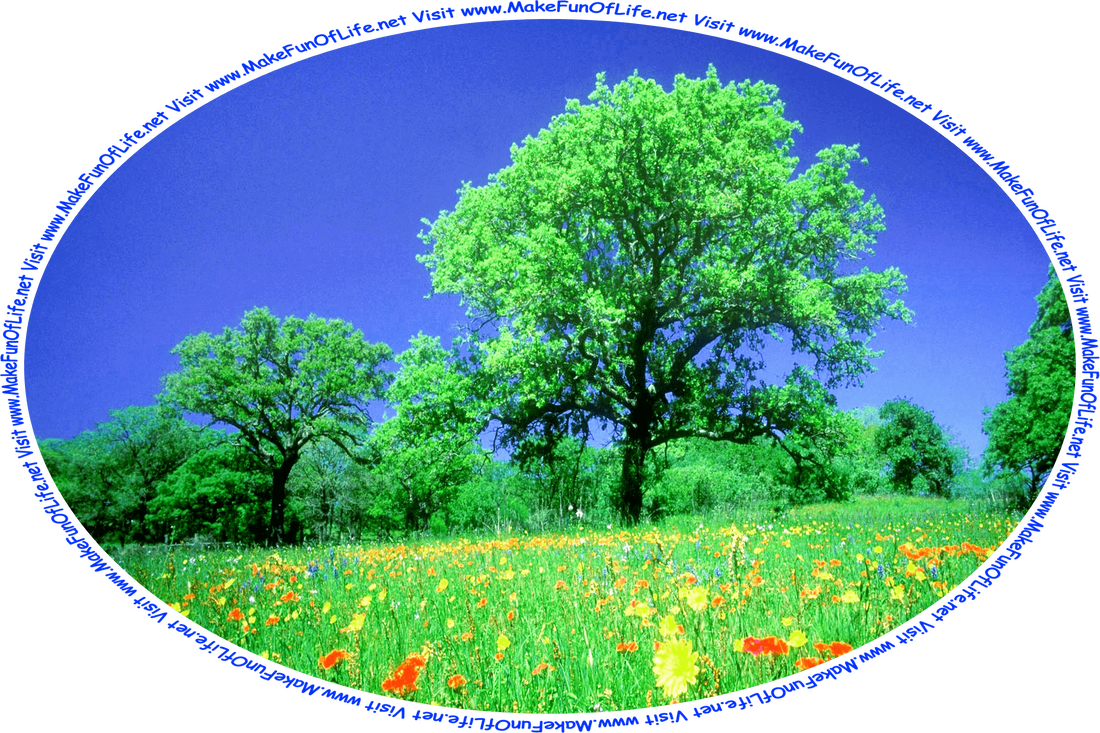 Picture of a meadow with red, yellow, and blue flowers, green leafy trees in the distance, a clear blue sky above, and the words, ‘Visit www.MakeFunOfLife.net.’