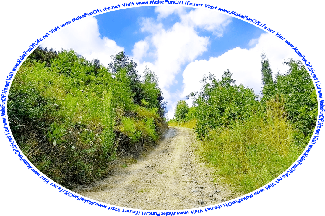 Picture of a rough dirt road strewn with rocks, bordered on both sides by tall bushes and tall grasses, with a blue sky and fluffy white clouds above, and the words, ‘Visit www.MakeFunOfLife.net.’