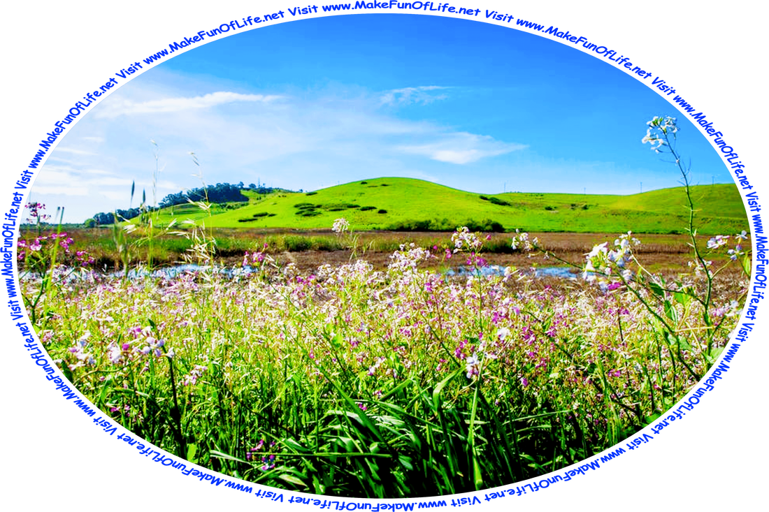 Picture of pink and white flowering plants bordering a wetland area with gently-rolling grass-covered hills in the distance, a blue sky with tiny bits of clouds above, and the words, ‘Visit www.MakeFunOfLife.net.’