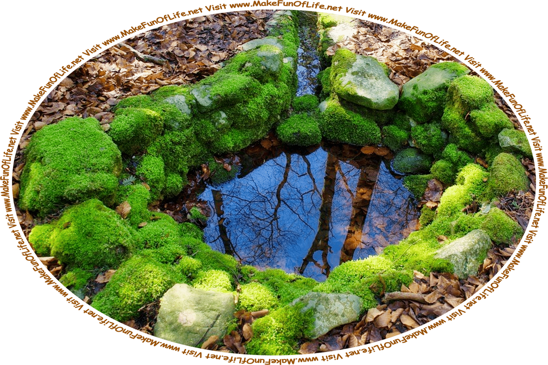 Picture of a pool of water that is surrounded by stones covered with thick green moss, and the words, ‘Visit www.MakeFunOfLife.net.’