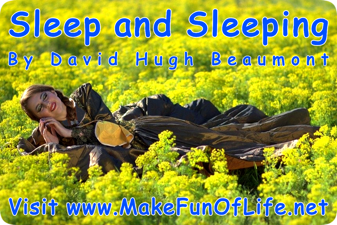 Picture of a woman miming, or doing an impression of, lying asleep in a field of flowers and the words ‘Sleep and Sleeping, By David Hugh Beaumont, Visit www.MakeFunOfLife.net.’