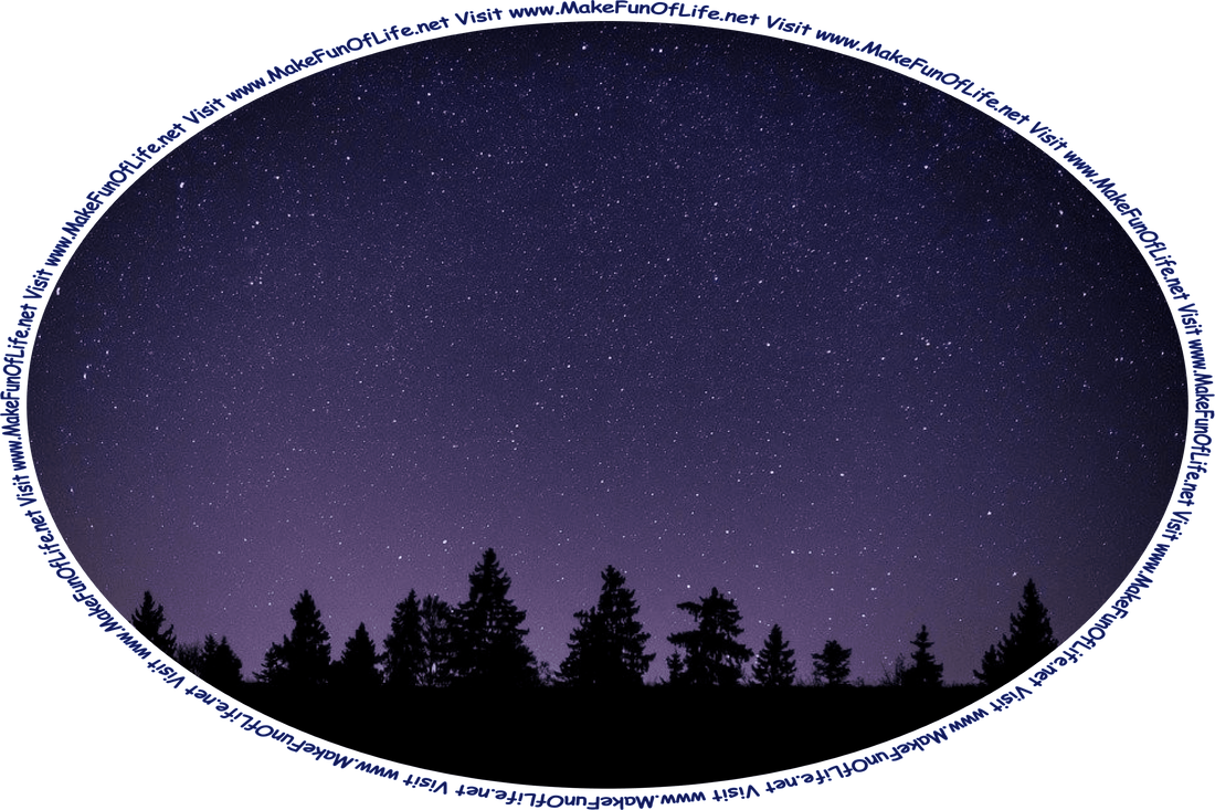 Picture of night sky filled with stars above a line of silhouetted evergreen trees, and the words, ‘Visit www.MakeFunOfLife.net.’