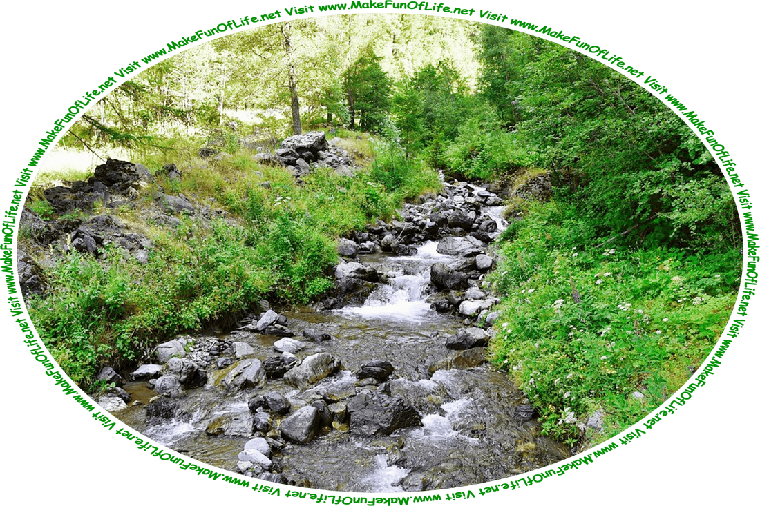 Picture of a creek flowing over rocks through a wooded area, and the words, ‘Visit www.MakeFunOfLife.net.’