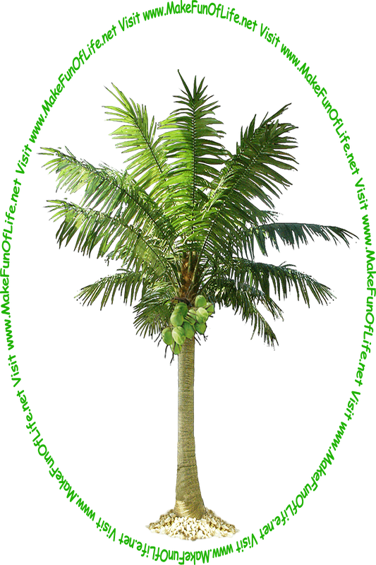 Picture of a tall green leafy coconut tree with several green coconuts growing on it and the words, 'Visit www.MakeFunOfLife.net.'