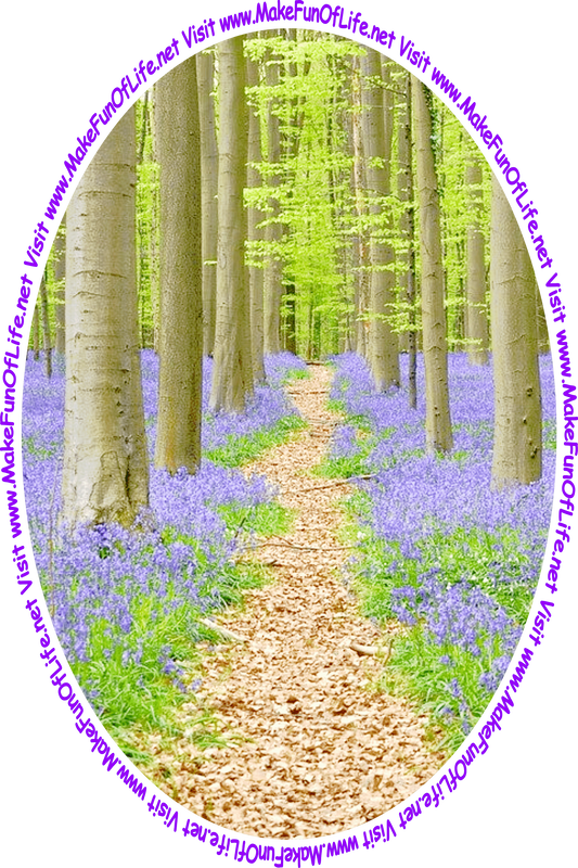 Picture of a path bordered on both sides by flowering plants with indigo-colored blossoms, going through a woods of extremely tall green leafy trees, and the words, ‘Visit www.MakeFunOfLife.net.’