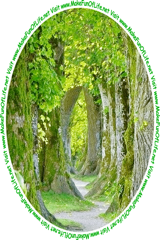 Picture of a footpath through a woods of tall green leafy trees with fuzzy green moss growing on the rough bark tree trunks, and the words, ‘Visit www.MakeFunOfLife.net.’