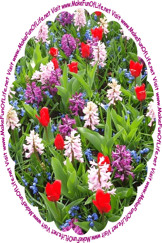 Picture of flowering plants with dark green leaves, blossoms in red, purple, and blue, and the words, ‘Visit www.MakeFunOfLife.net.’