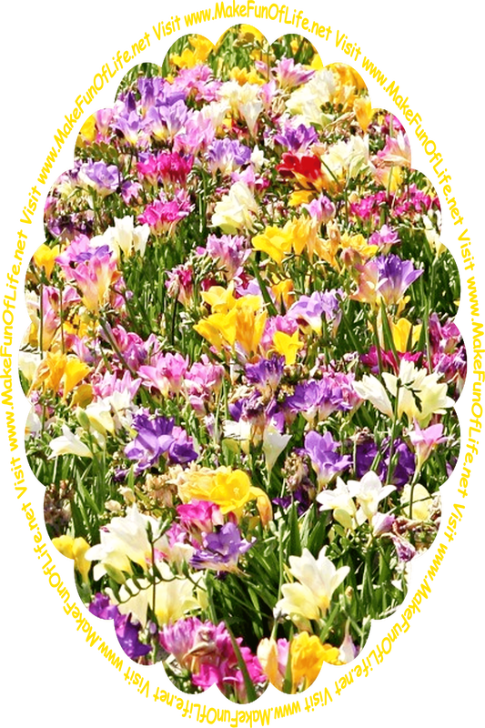 Picture of flowering plants with long dark green leaves and brightly colored blossoms in colors including yellow, pink, purple, and white, and the words, ‘Visit www.MakeFunOfLife.net.’