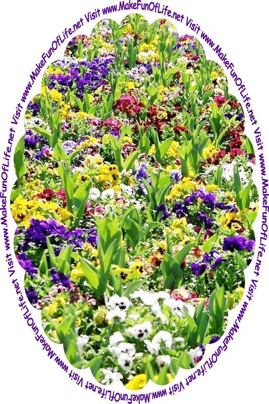 Picture of a field with a variety of flowering plants having long narrow green leaves, and blossoms of yellow, indigo, white, maroon, and lavender, and the words, ‘Visit www.MakeFunOfLife.net.’