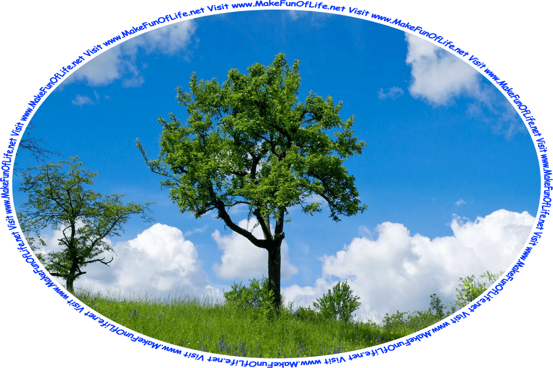 Picture of a young tree growing on a gentle slope covered with green grass and flowering plants with yellow and purple blossoms, a blue sky with fluffy white clouds above, and the words, ‘Visit www.MakeFunOfLife.net.’