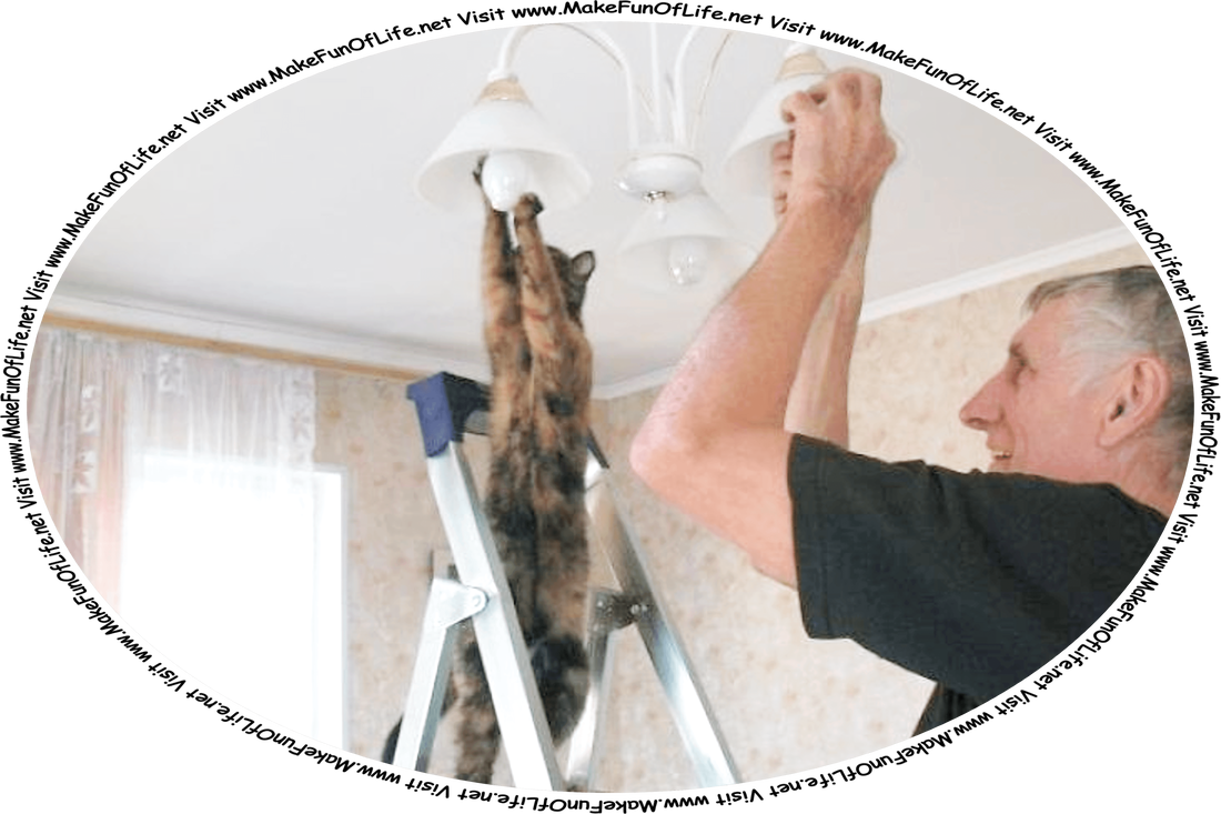 Picture of a man and a cat replacing light bulbs in a ceiling light fixture, and the words, ‘Visit www.MakeFunOfLife.net.’