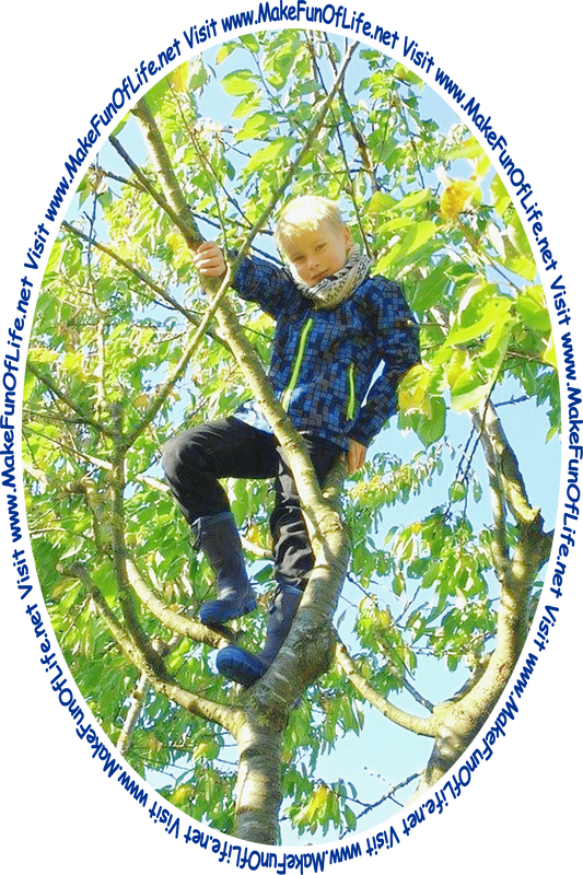 Picture of a boy in a green leafy tree and the words, 'Visit www.MakeFunOfLife.net.'