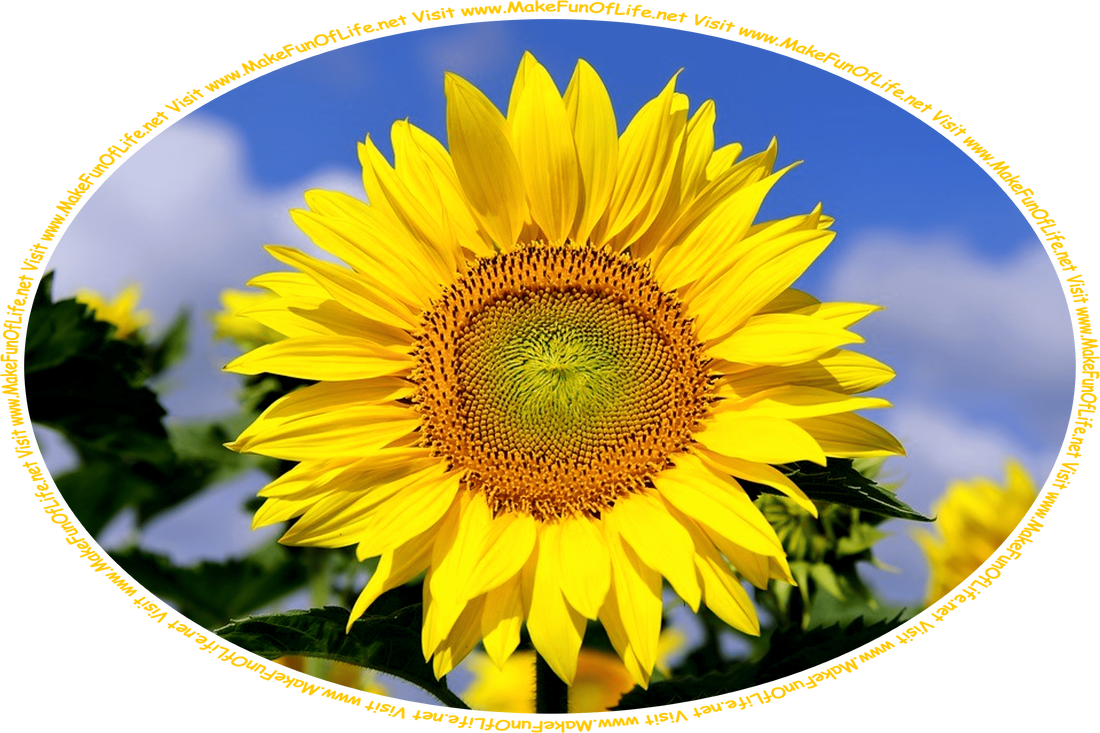 Picture of a bright yellow sunflower, with a blue sky and fluffy white clouds in the background, and the words, ‘Visit www.MakeFunOfLife.net.’