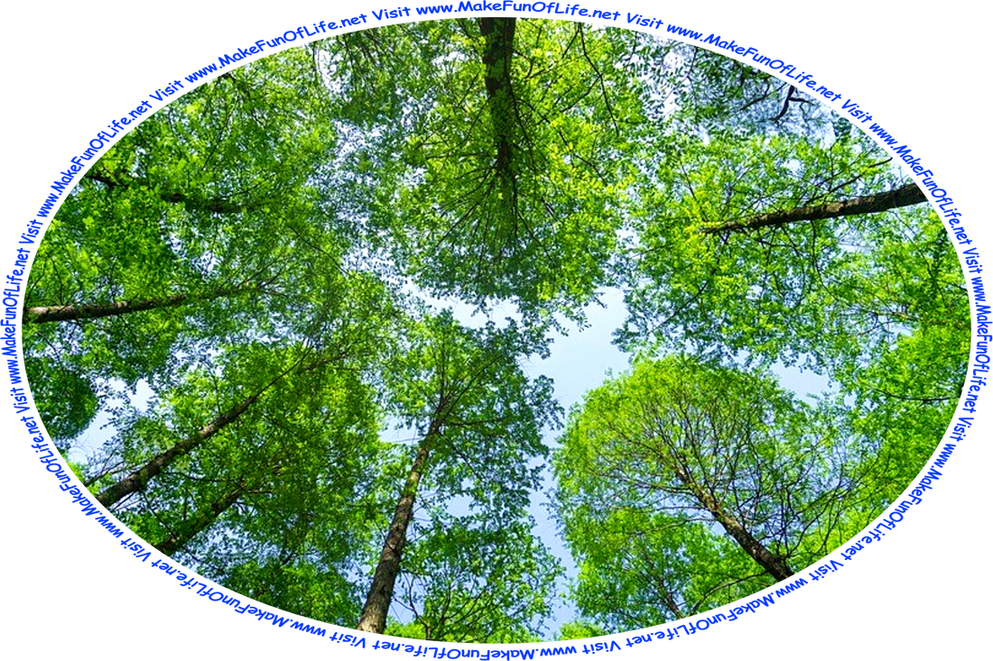 Picture of a tree canopy, or the close and overlapping branches of green leafy trees, as seen from below, with blue sky and fluffy white clouds visible through the canopy, and the words, ‘Visit www.MakeFunOfLife.net.’