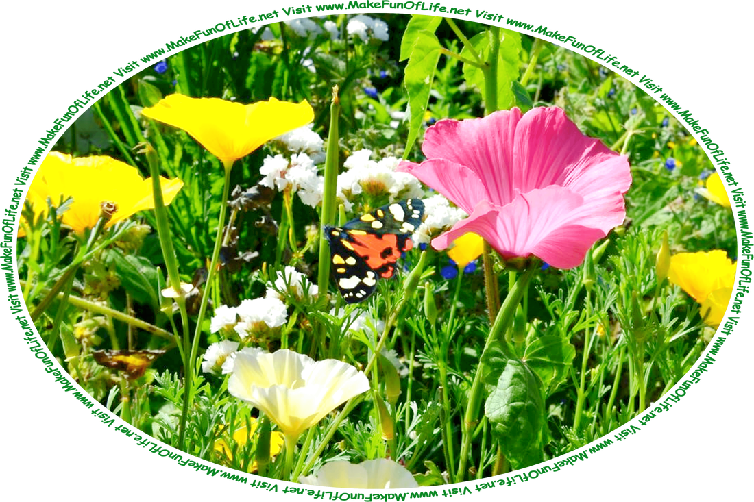 Picture of flowering plants with long thin dark green leaves and blossoms in white, yellow, and pink, a black-orange-white-yellow butterfly, and the words, ‘Visit www.MakeFunOfLife.net.’