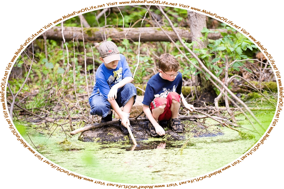 Picture of two boys poking sticks into a pond that is thickly covered by green algae, and the words, ‘Visit www.MakeFunOfLife.net.’
