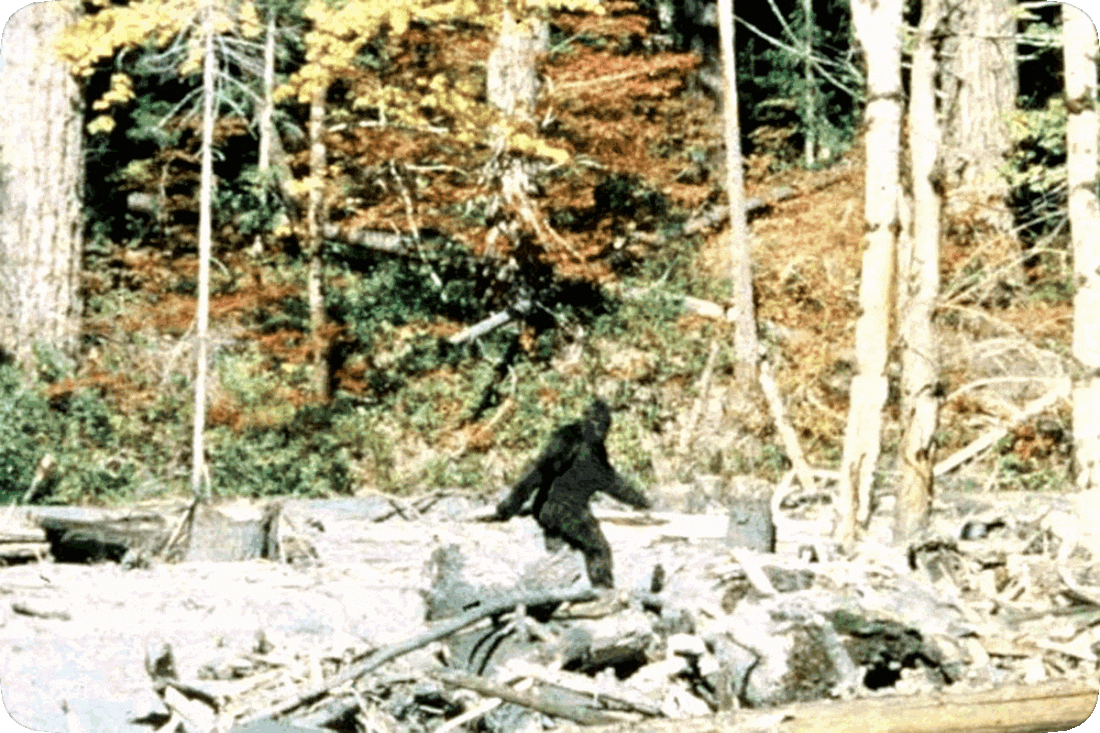 Picture of Bigfoot walking through a wilderness area.