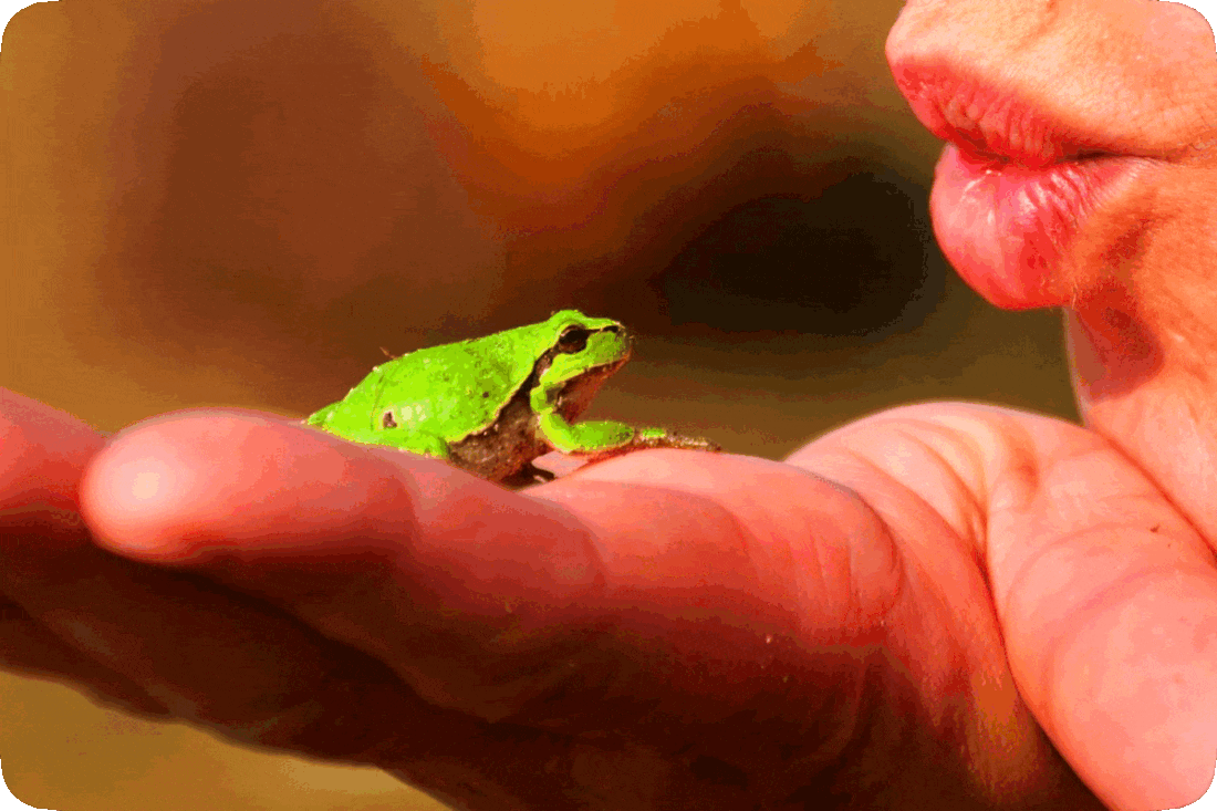 Picture of a woman puckering up her lips to kiss a tiny green frog that she is holding in the palm of her hand.