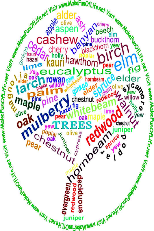 Picture of the names of various trees arranged in roughly the shape of a tree, including tree names alder, ash, mulberry, maple, and so forth, and the words, 'Visit www.MakeFunOfLife.net.'