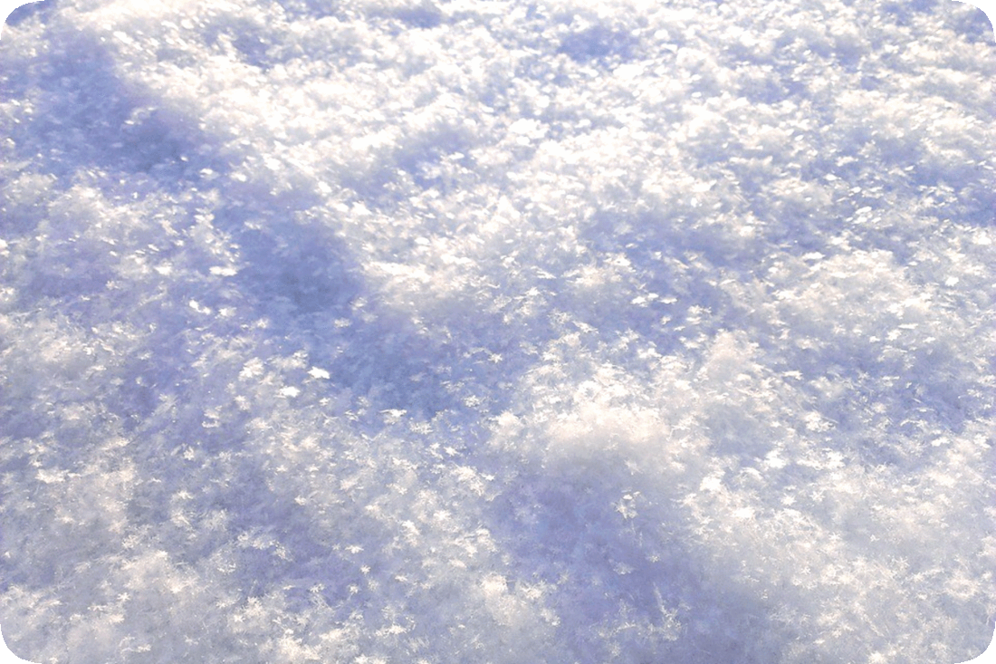 Picture of snow with individual snowflakes visible.