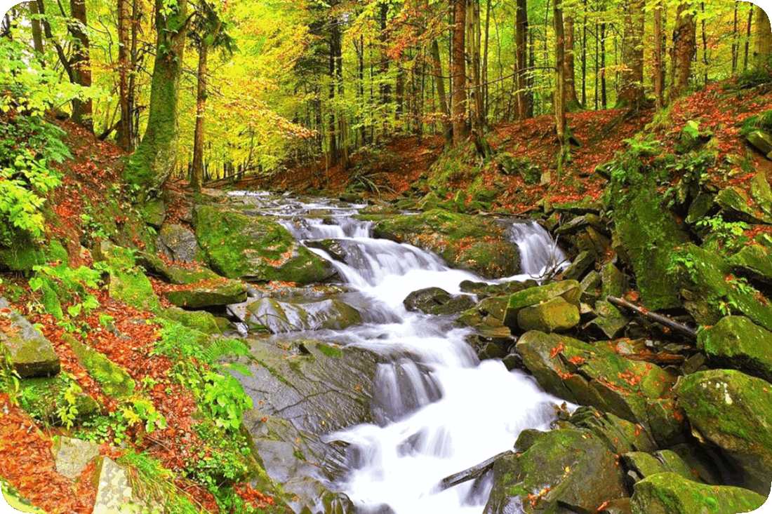 Picture of a stream running down a slope over large moss-covered rocks in a woods with green leafy trees that are beginning to change to early Autumn colors of yellow, orange, and red.