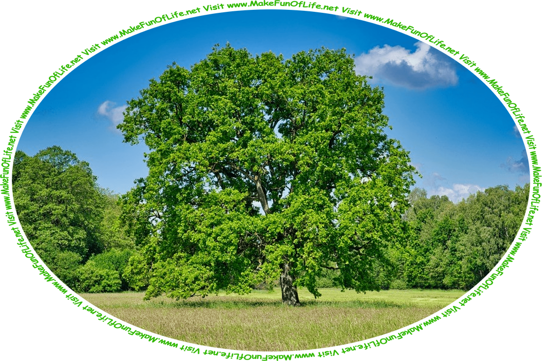 Picture of a single green leafy tree in a green grassy meadow with other green leafy trees in the distance, a blue sky and fluffy white clouds above, and the words, ‘Visit www.MakeFunOfLife.net.’