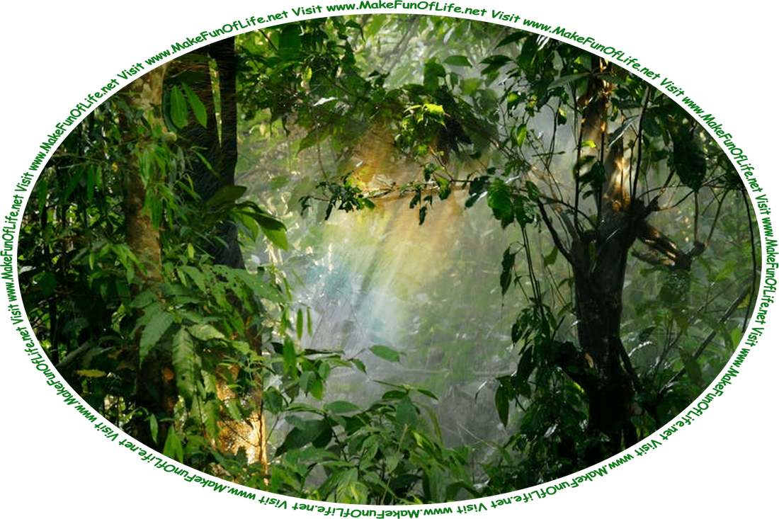 Picture of a sunbeam shining deep within the lush greenery of a forest, with the sunbeam’s colors refracted like a rainbow, and the words, ‘Visit www.MakeFunOfLife.net.’