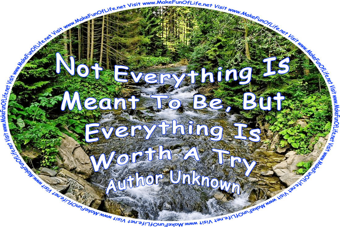 Picture of a brook running through a dense forest of leafy green trees, and the words, ‘“Not everything is meant to be, but everything is worth a try.” -Author Unknown - Visit www.MakeFunOfLife.net.’