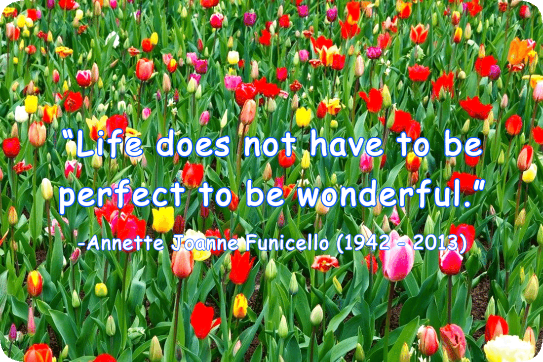 Picture of a variety of brightly colored tulip flowers, and the words, ‘“Life does not have to be perfect to be wonderful.” -Annette Joanne Funicello (1942 - 2013).’