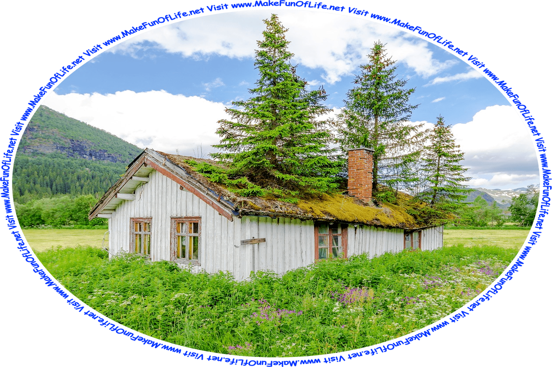 Picture of a small abandoned wooden house with three evergreen trees growing inside it and up through its roof, in a field of flowering plants, evergreen pine trees and leafy green deciduous trees in the distance, and mountains further away, a blues sky with fluffy white clouds above, and the words, ‘Visit www.MakeFunOfLife.net.’